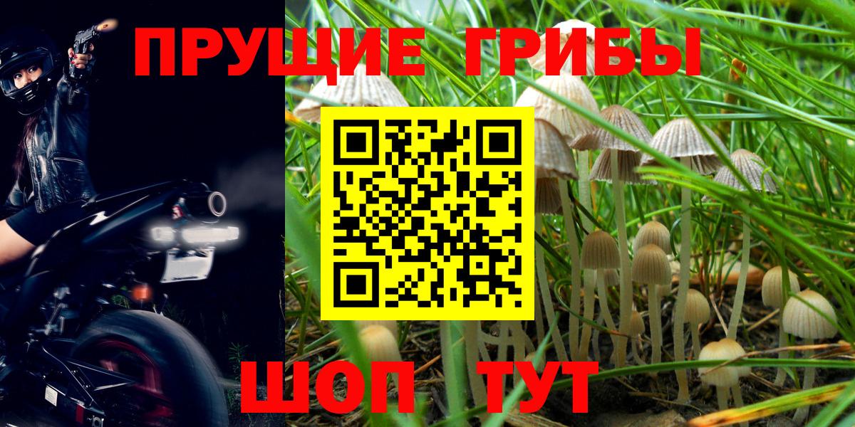 Псилоцибиновые грибы мухоморы Березники