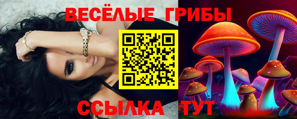 Березники  Псилоцибиновые грибы прущие грибы  Вход с VPN 